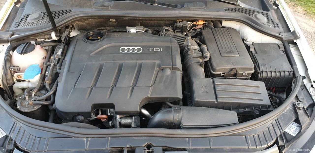 Audi | 8