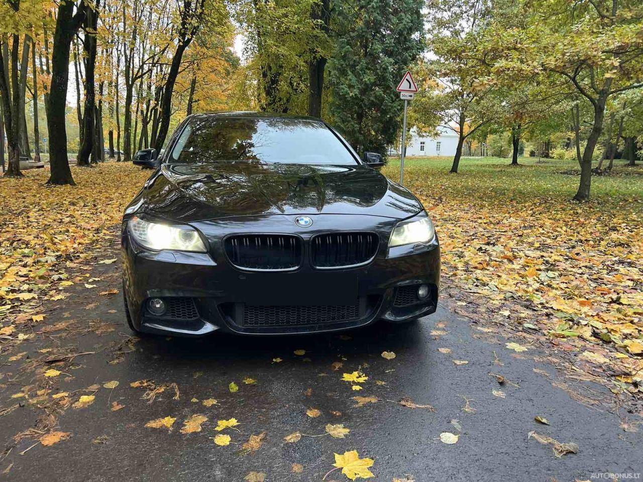 BMW 530 | 6
