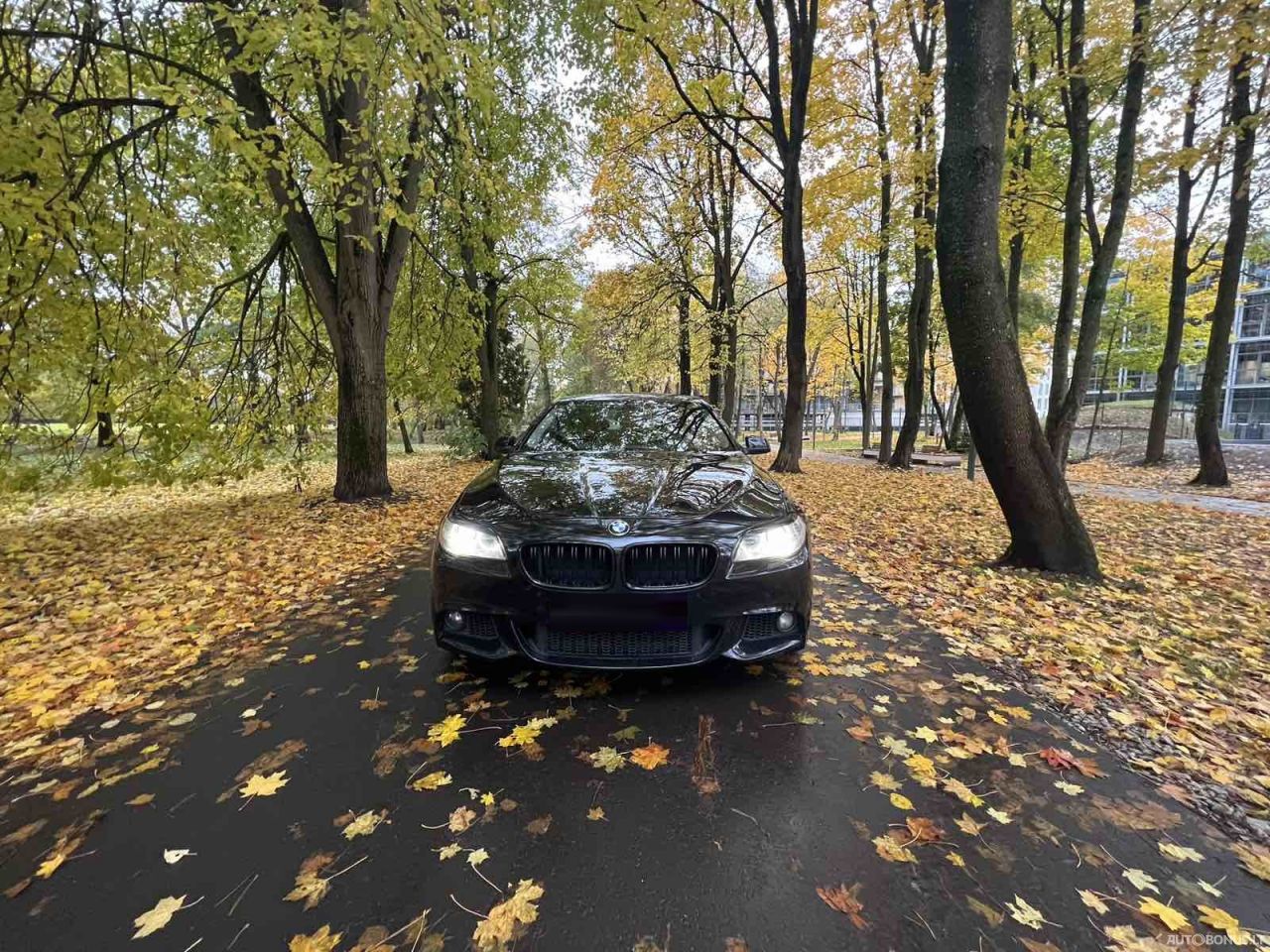 BMW 530 | 8