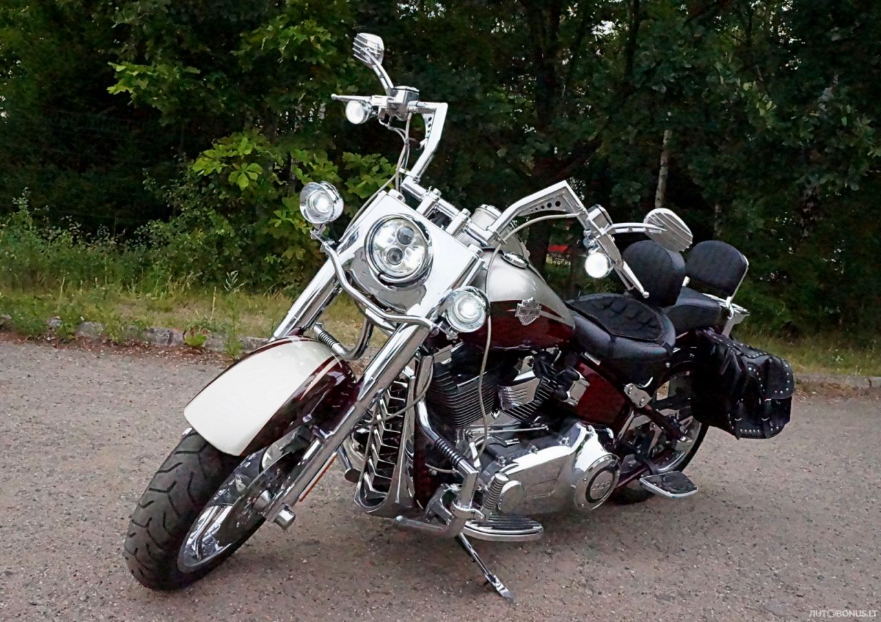 Harley-Davidson FLSTS, Cruiser/Touring | 5