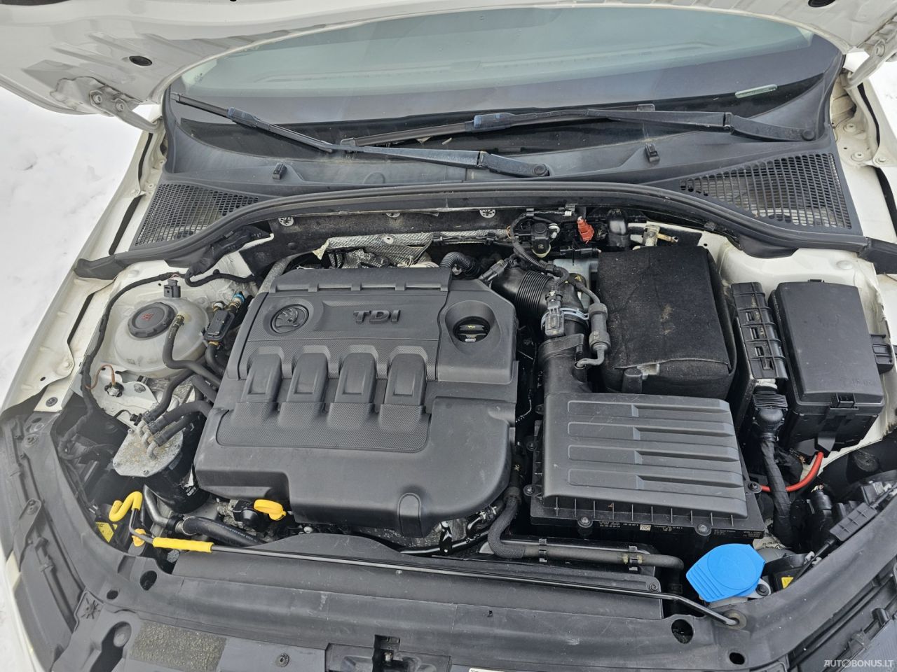 Skoda Octavia | 10