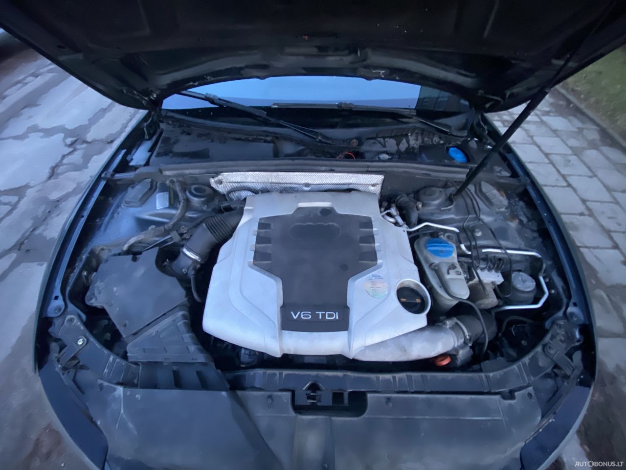 Audi A5 | 13