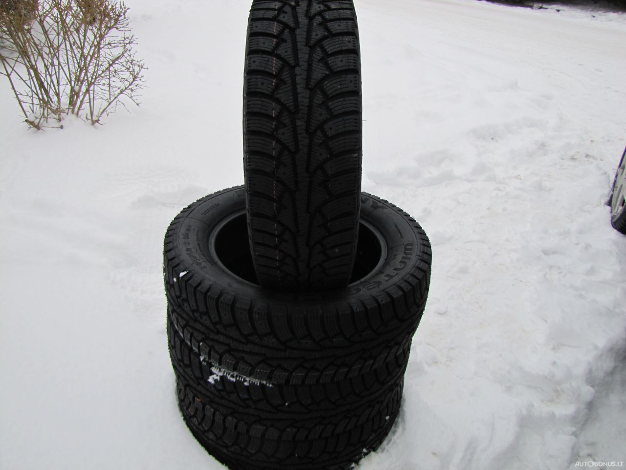 Agi ECOOPONY WINTER H5 universal tyres | 13