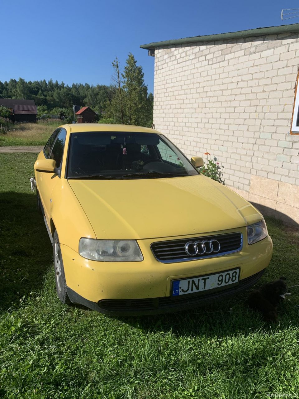 Audi A3 | 1