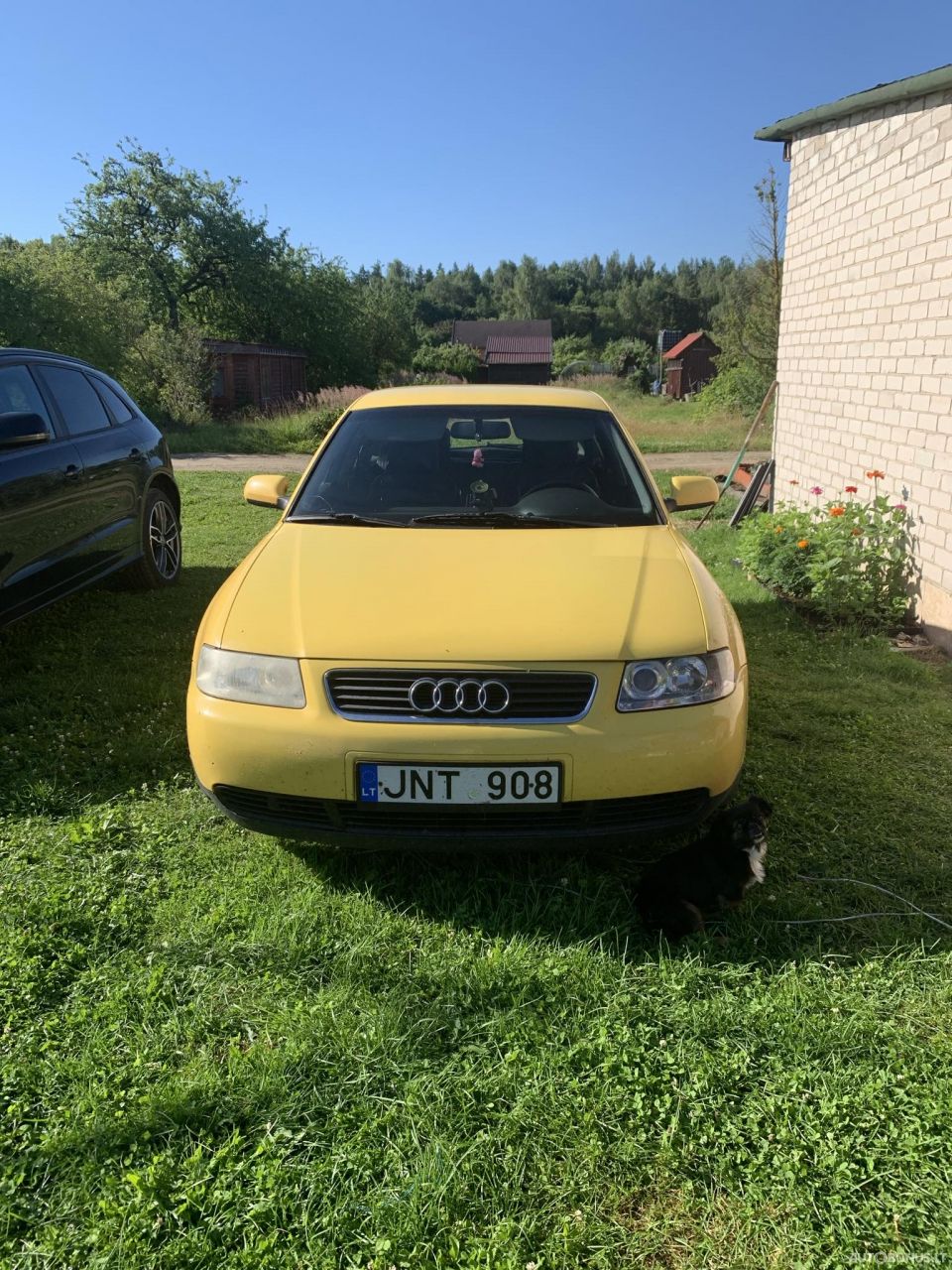 Audi A3 | 5