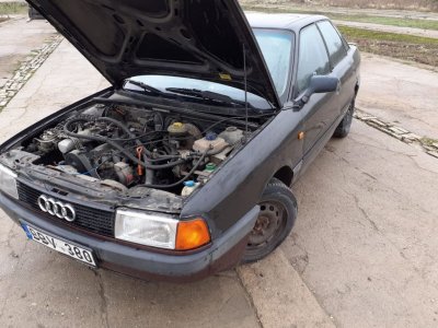 Audi, Sedanas