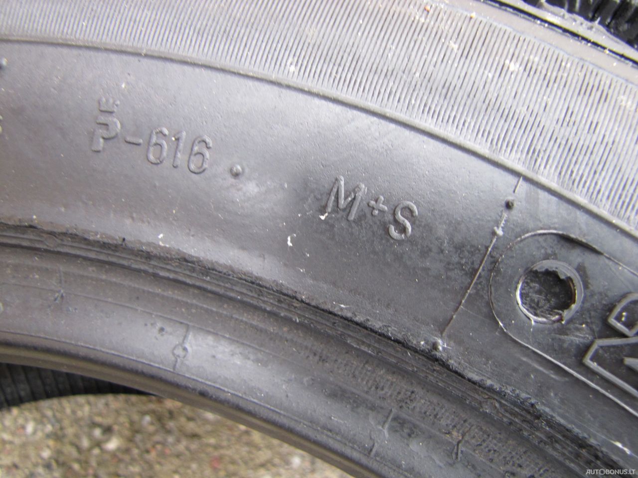 Agi ECOOPONY GALAXIE MS2 winter tyres | 13