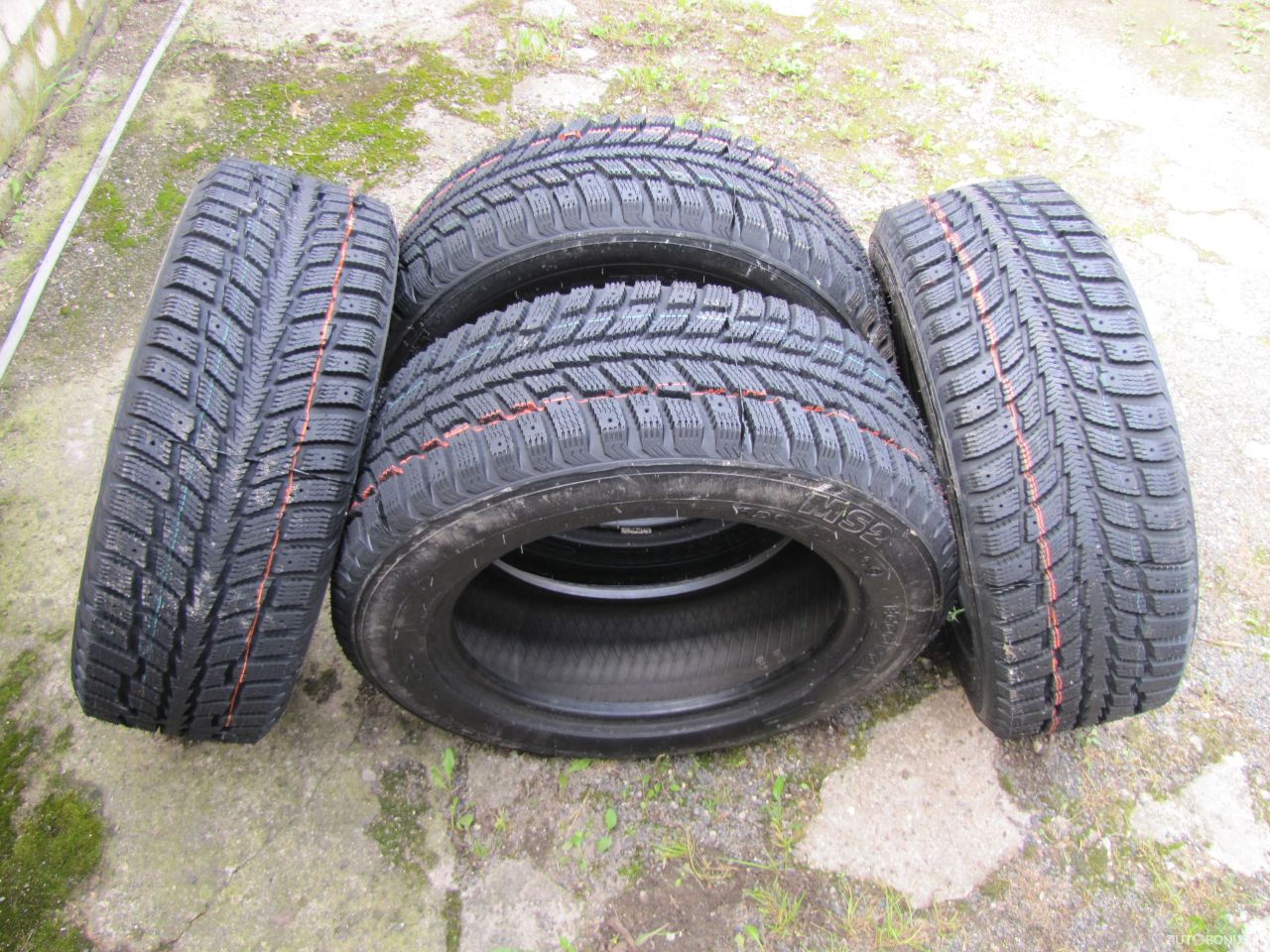 Agi ECOOPONY GALAXIE MS2 winter tyres | 23