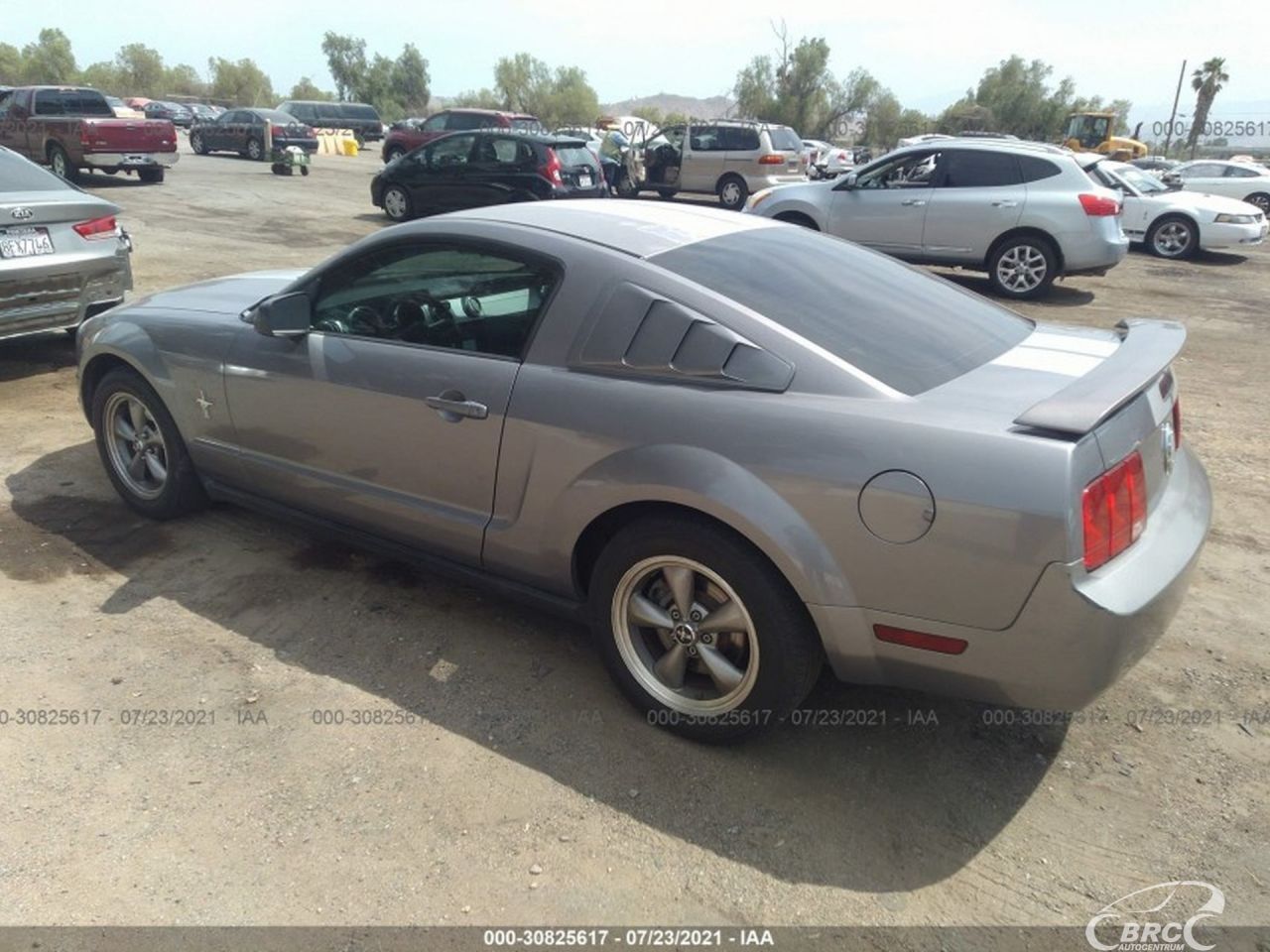 Ford Mustang | 42