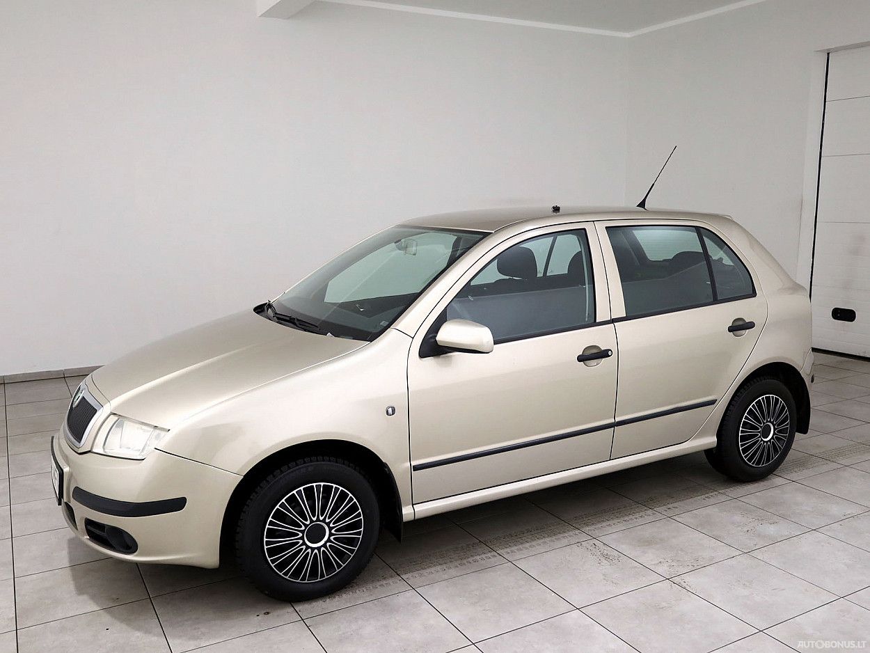 Skoda Fabia | 1