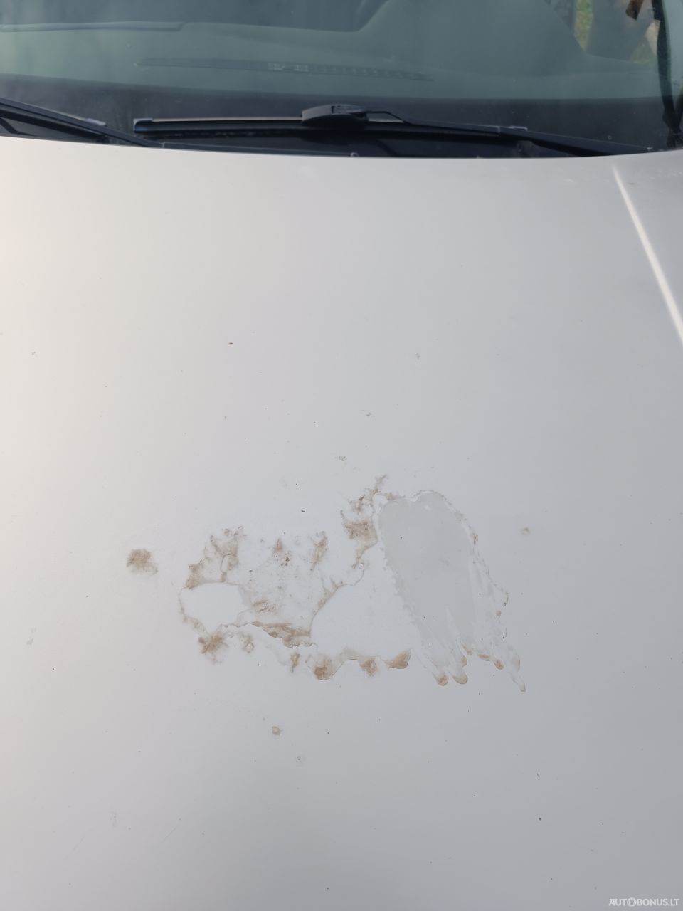 Volkswagen Golf | 1
