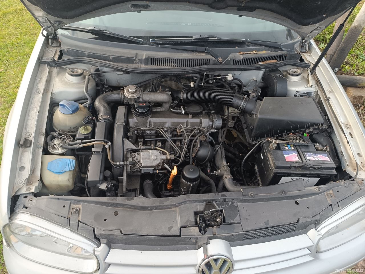 Volkswagen Golf | 5
