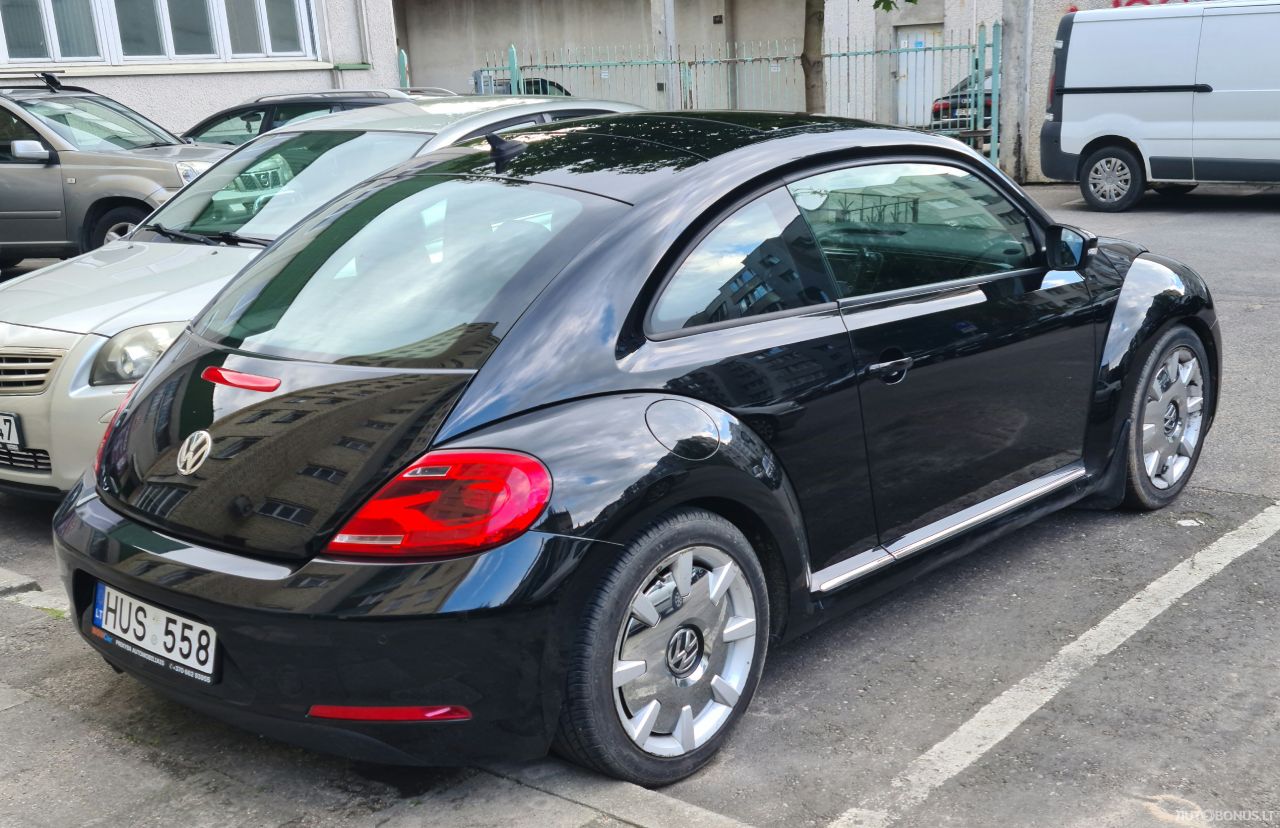 Volkswagen Beetle | 6