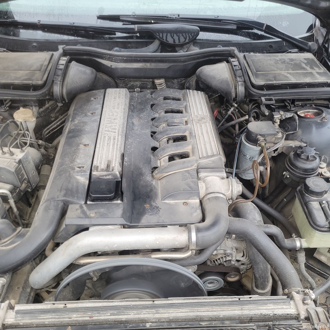 BMW 525 | 15