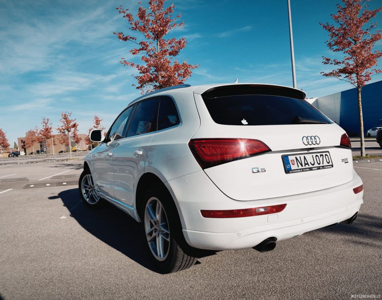 Audi Q5, Universalas | 2