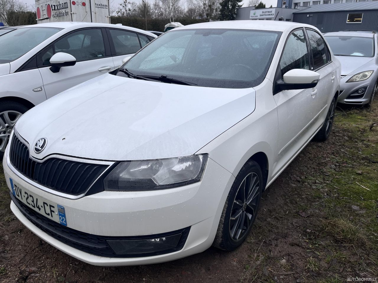 Skoda Rapid