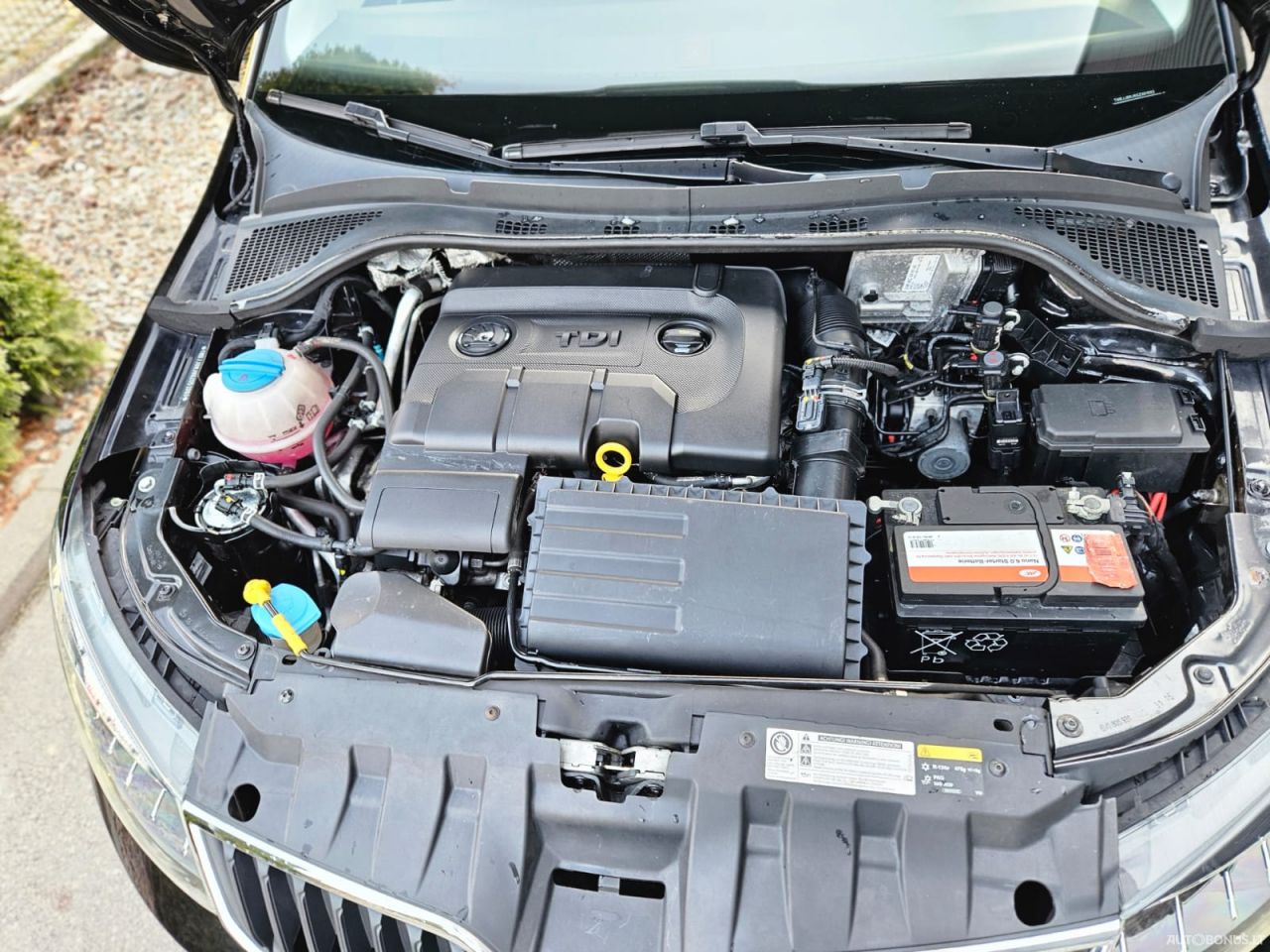 Skoda Fabia | 4