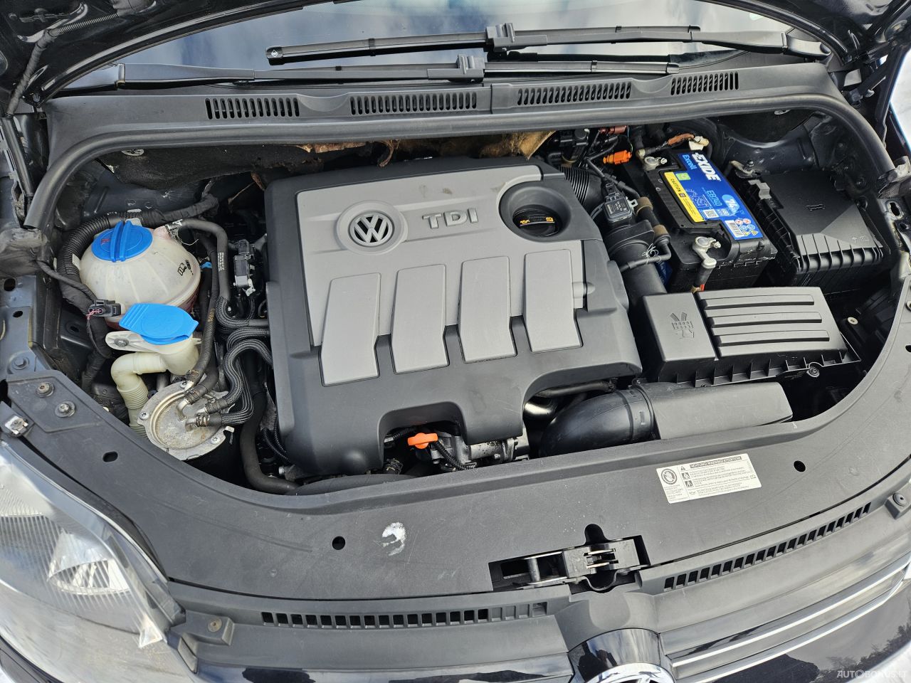 Volkswagen Golf Plus | 21