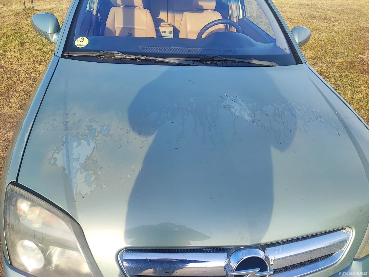 Opel Signum | 5