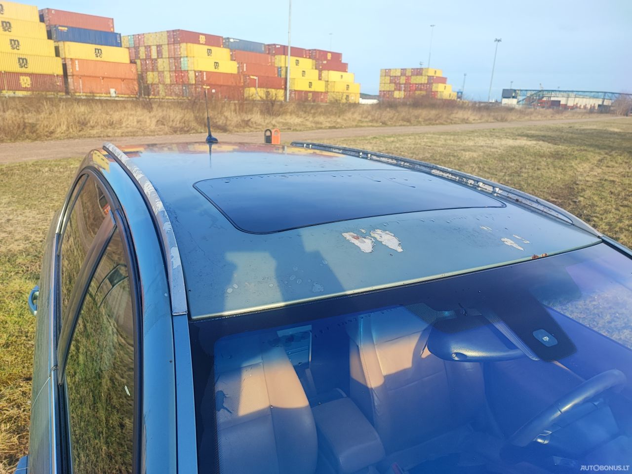 Opel Signum | 6
