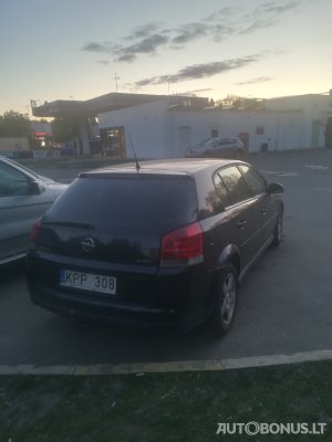 Opel Signum | 3