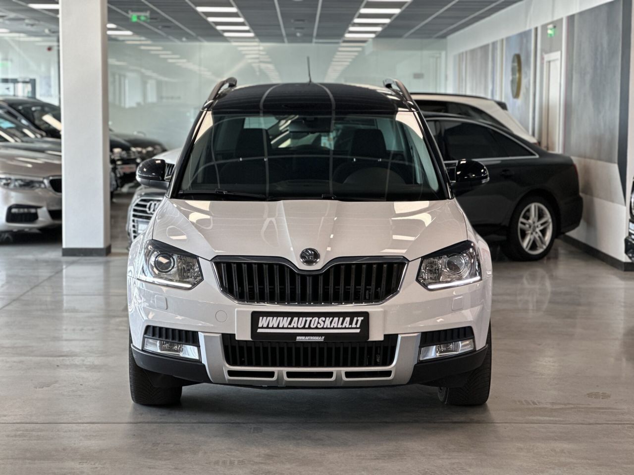 Skoda Yeti | 3