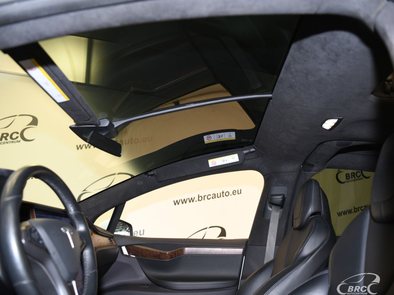 Tesla Model X | 19