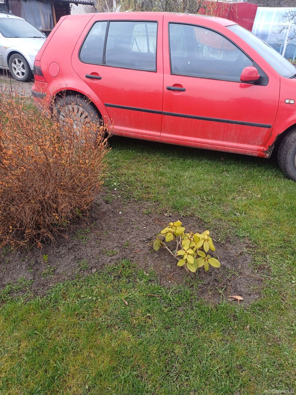 Volkswagen Golf | 3
