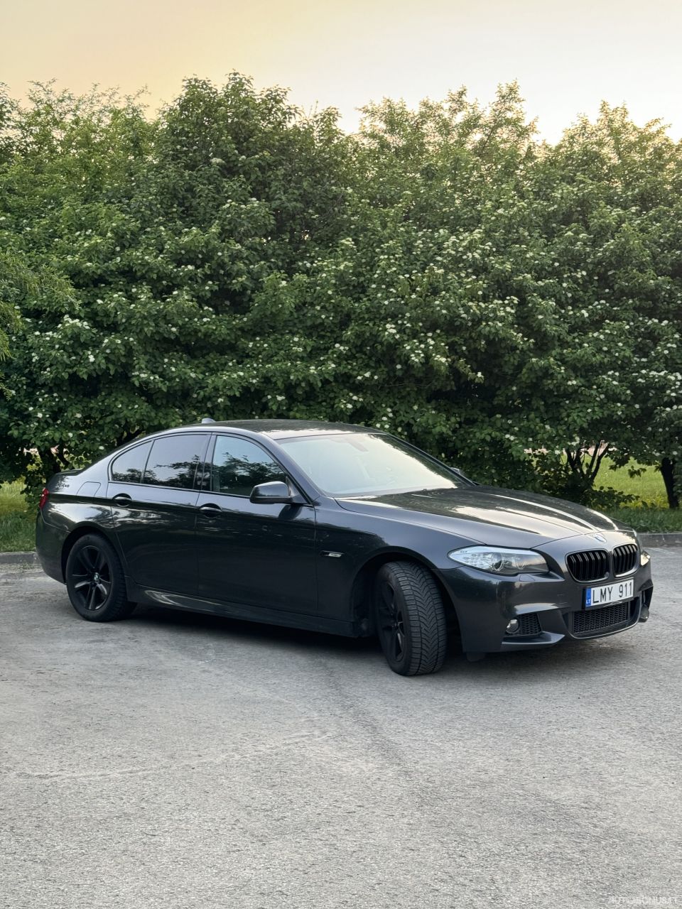 BMW 525 | 12