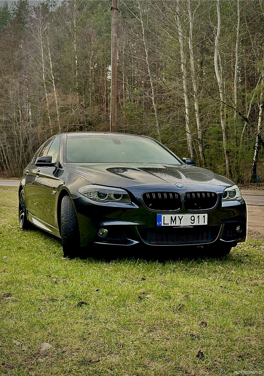 BMW 525 | 13
