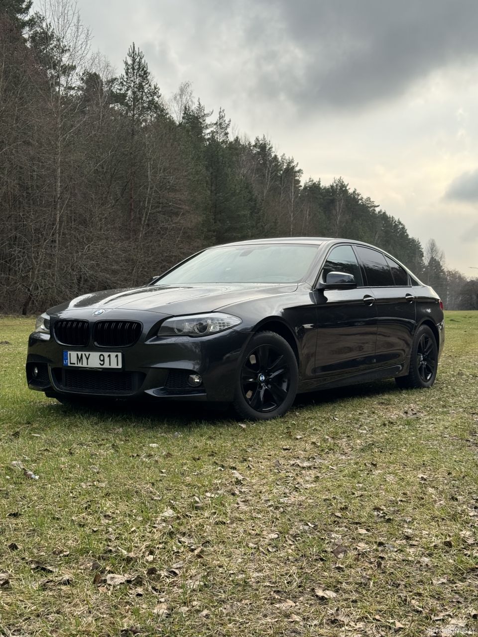 BMW 525 | 18