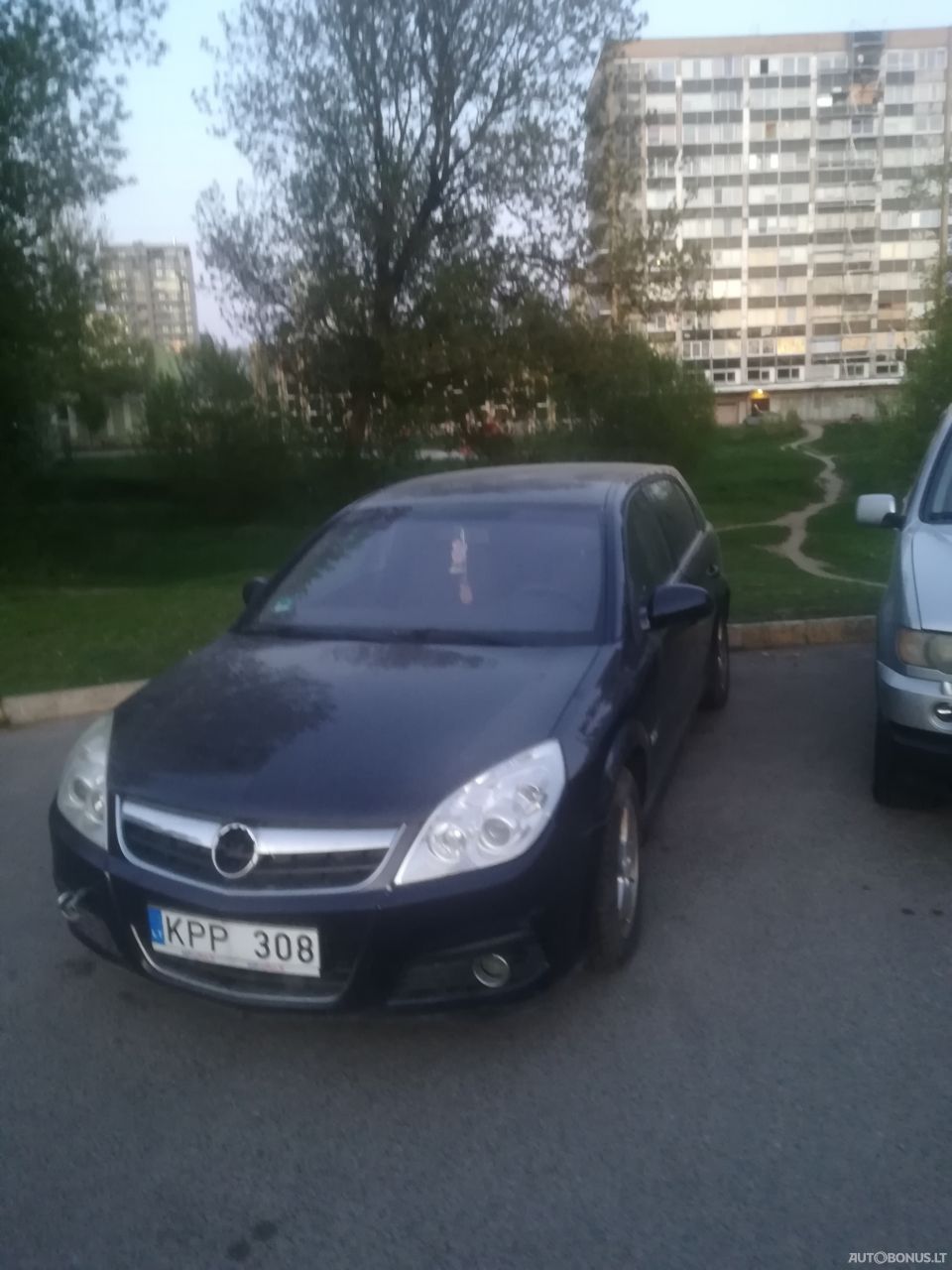 Opel Signum | 1
