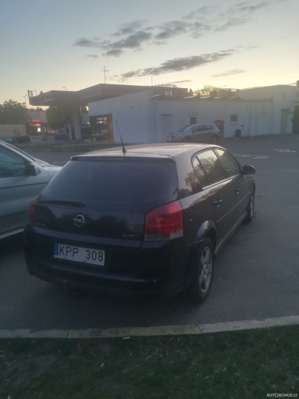 Opel Signum | 3
