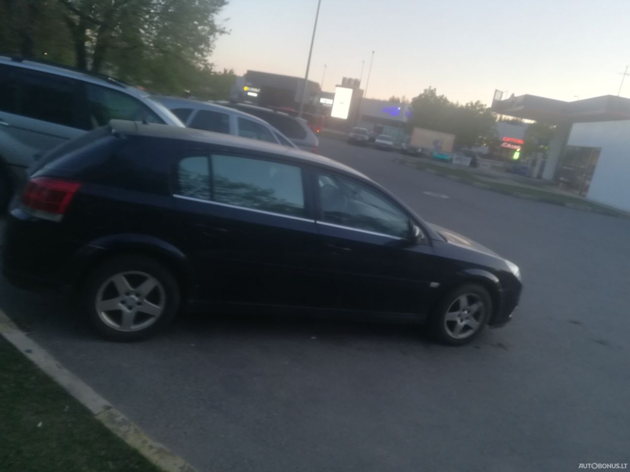 Opel Signum | 4