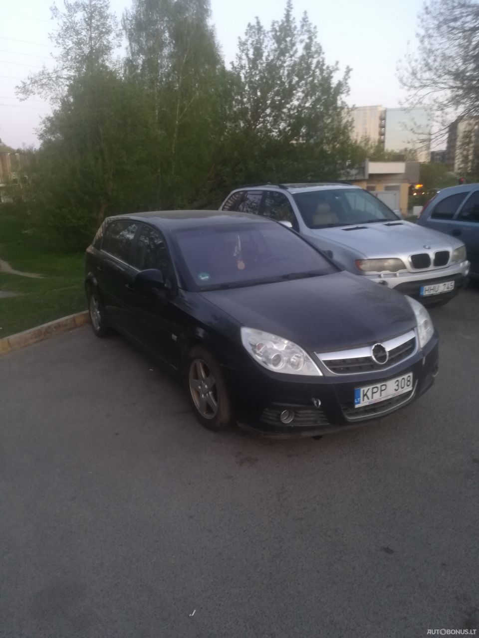 Opel Signum | 5