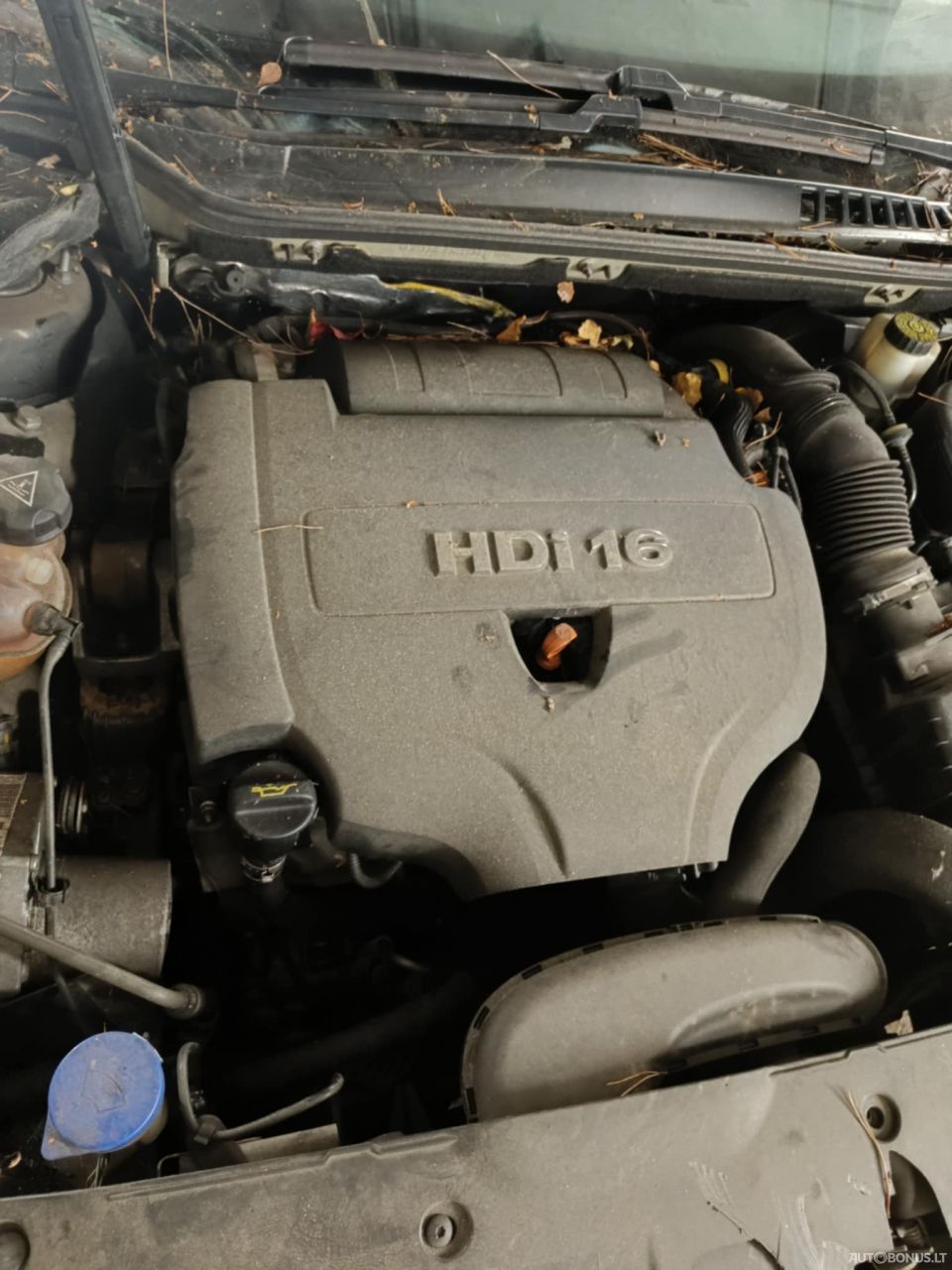 Peugeot 508, Седан | 5