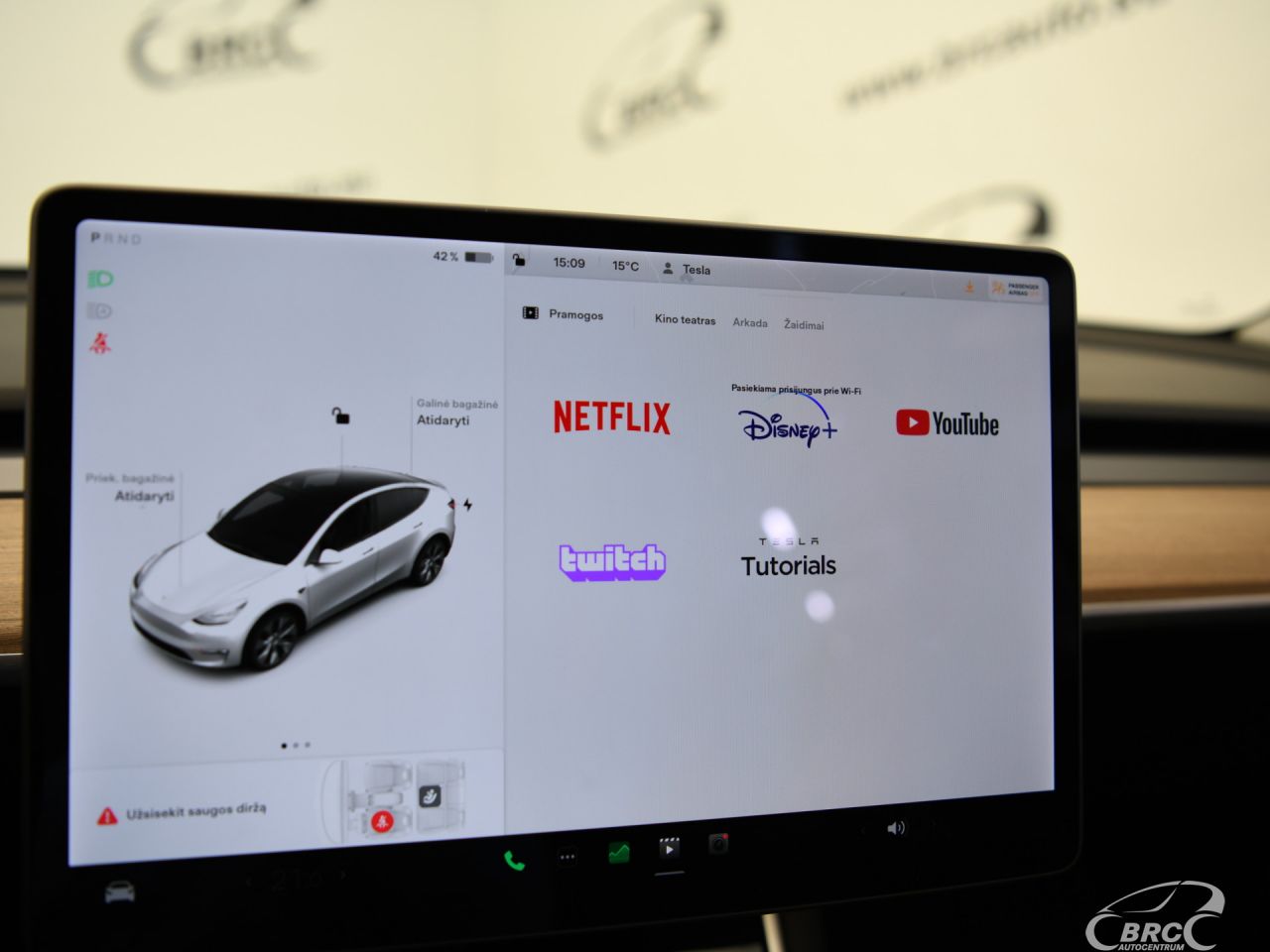 Tesla Model Y | 29