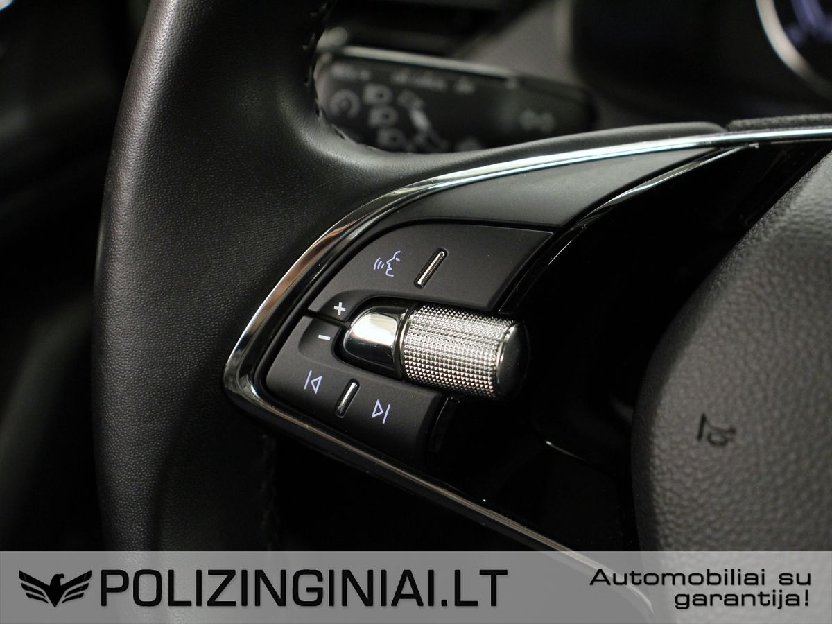 Skoda Kamiq | 13