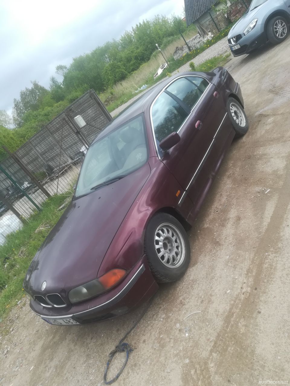 BMW 523 | 2