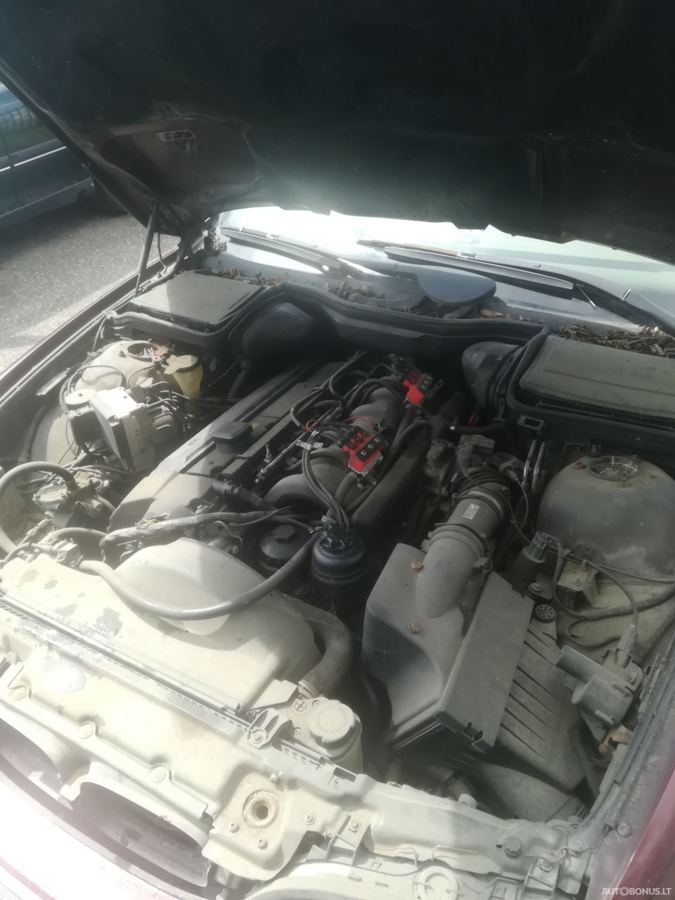 BMW 523 | 6