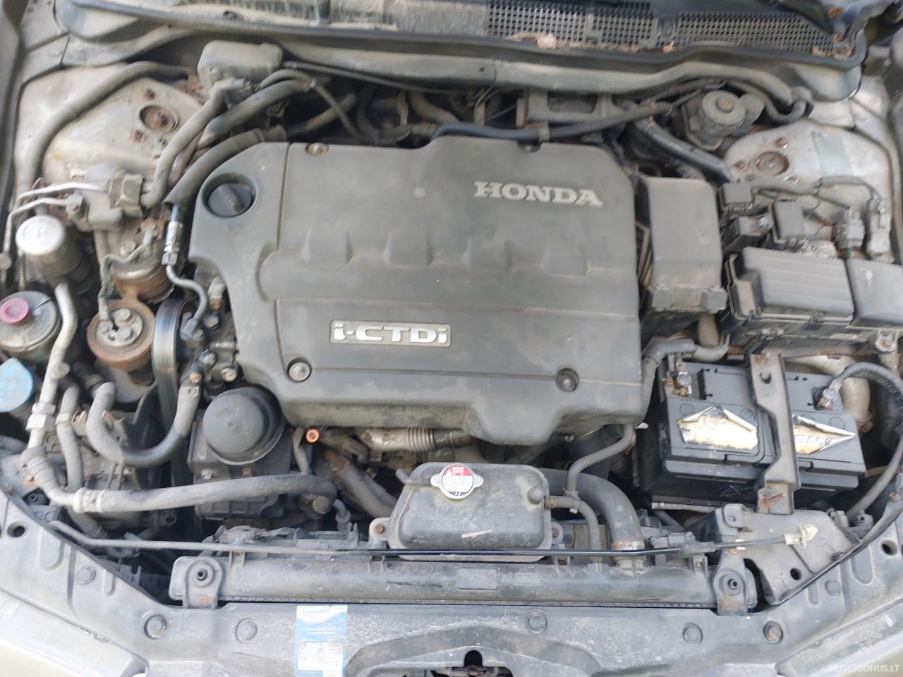 Honda Accord | 11