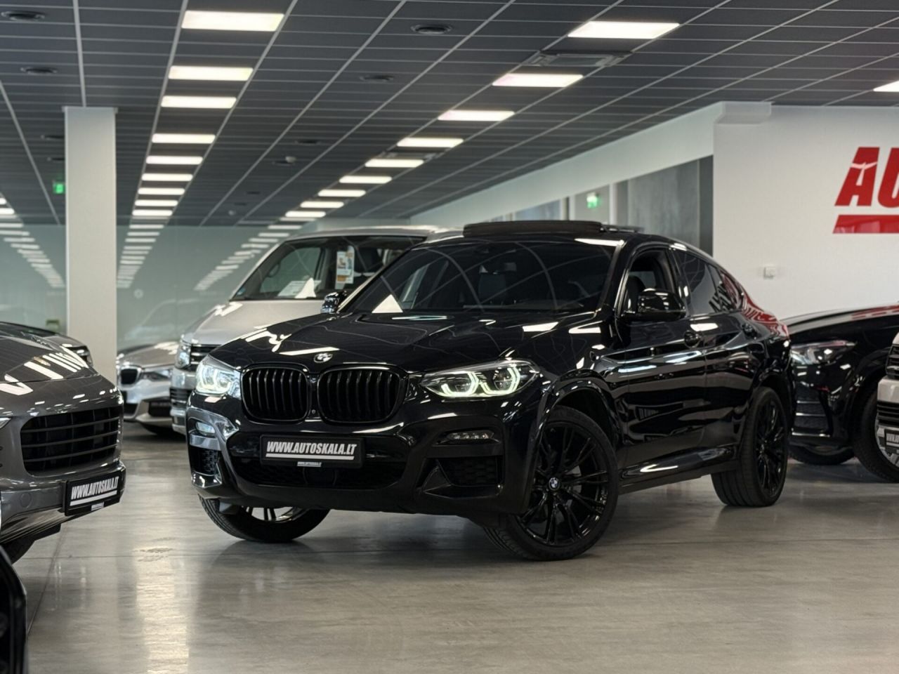BMW X4 | 31