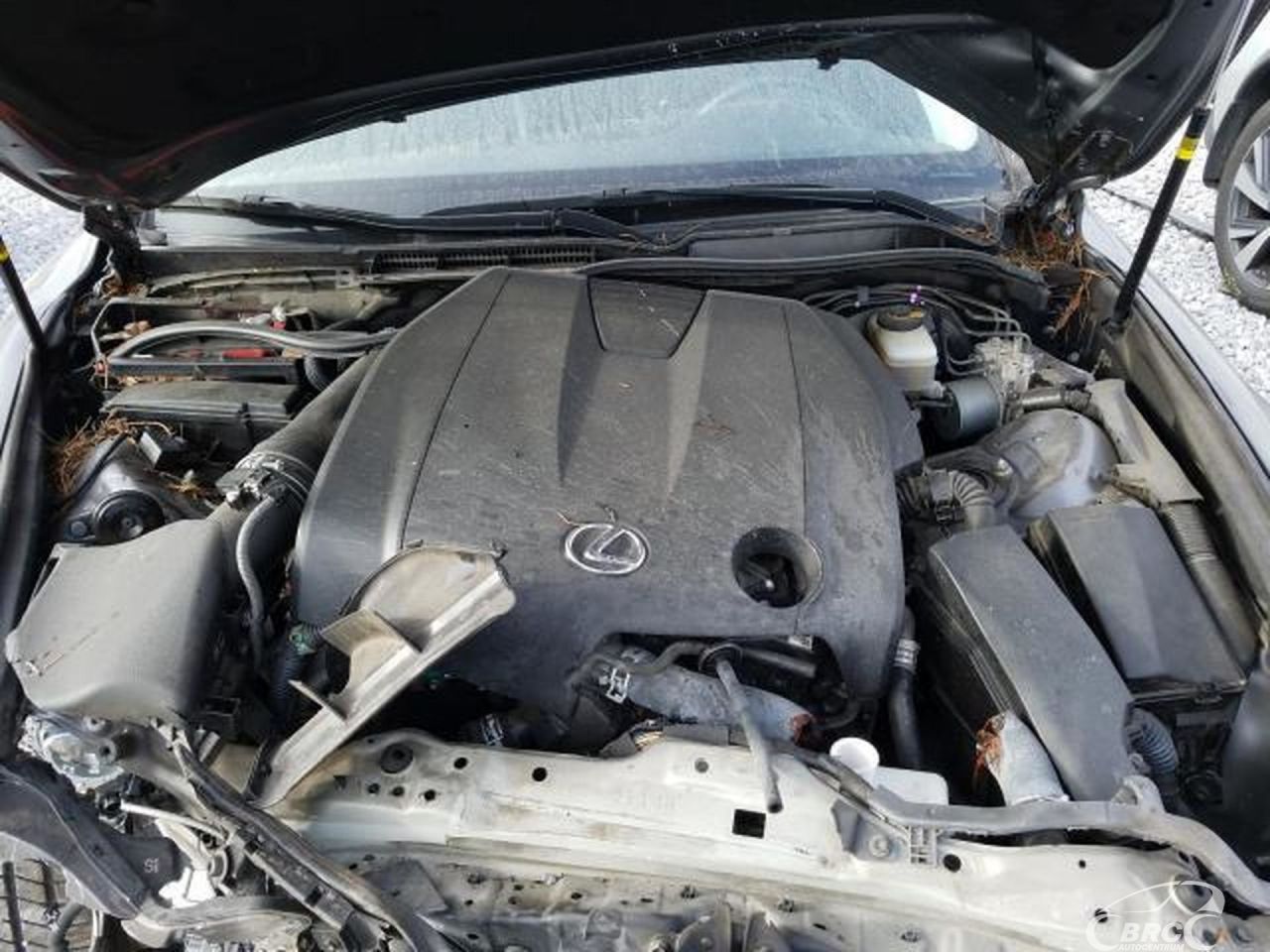 Lexus IS 250 | 48