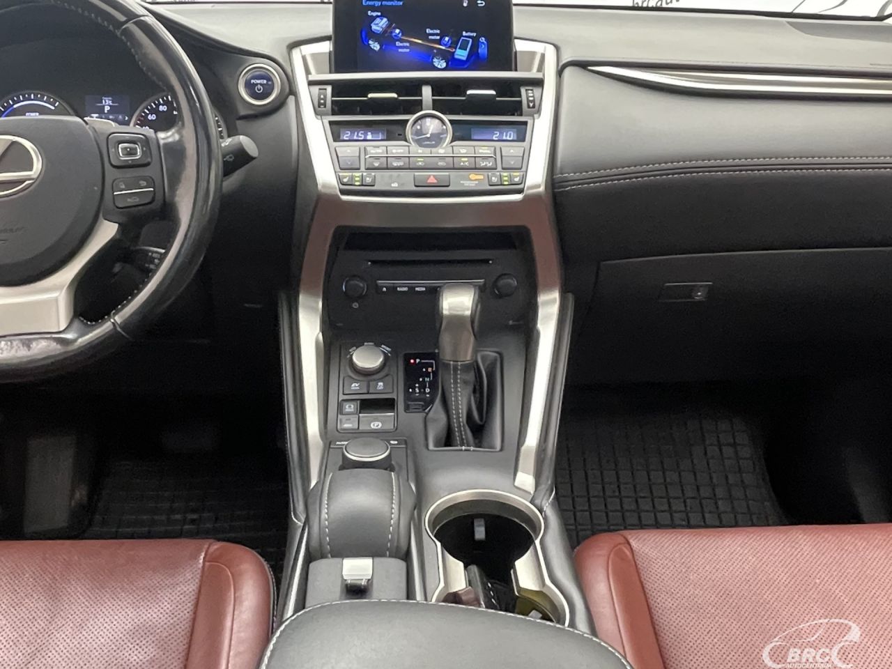 Lexus NX 300h | 14