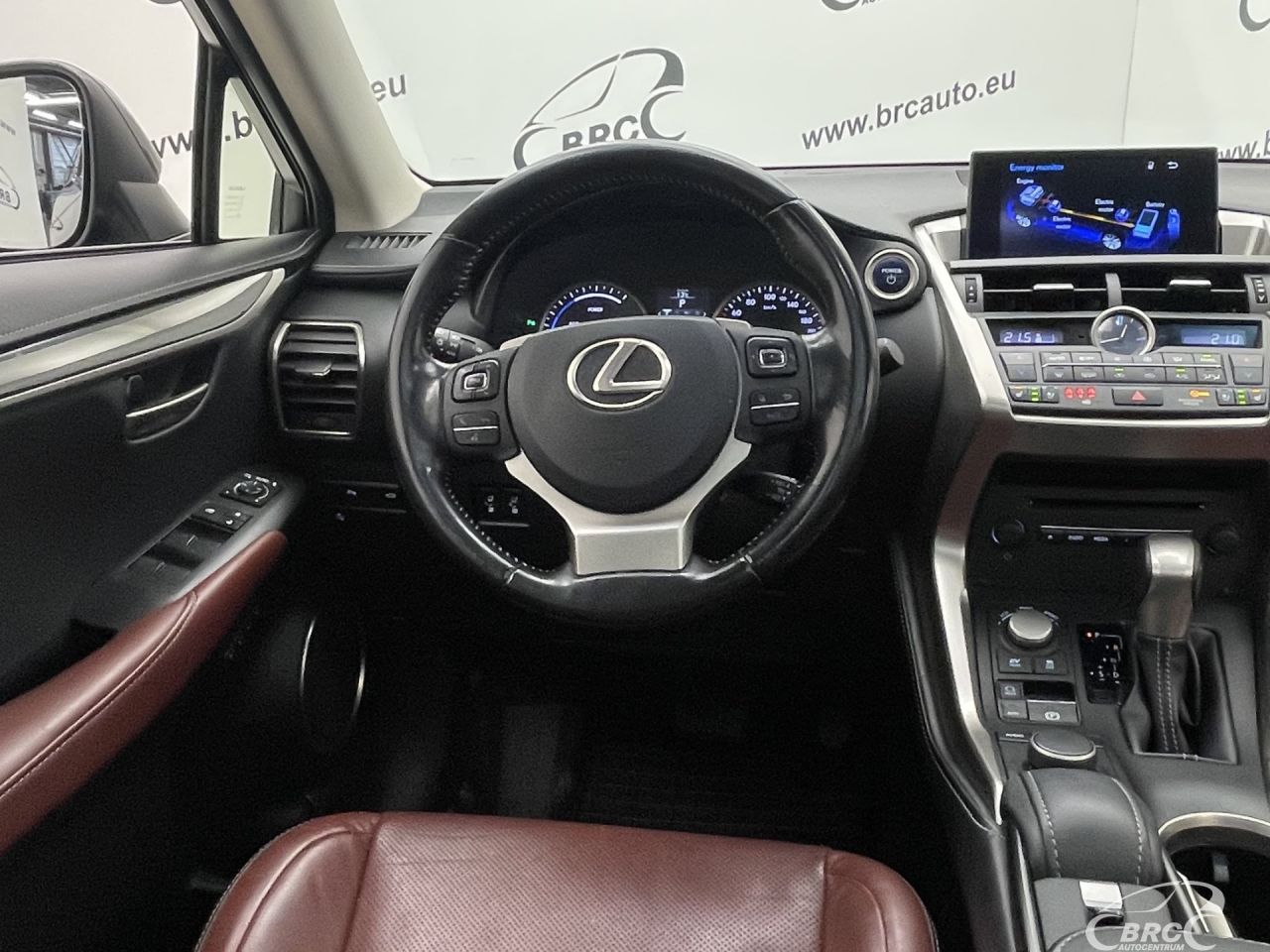 Lexus NX 300h | 13