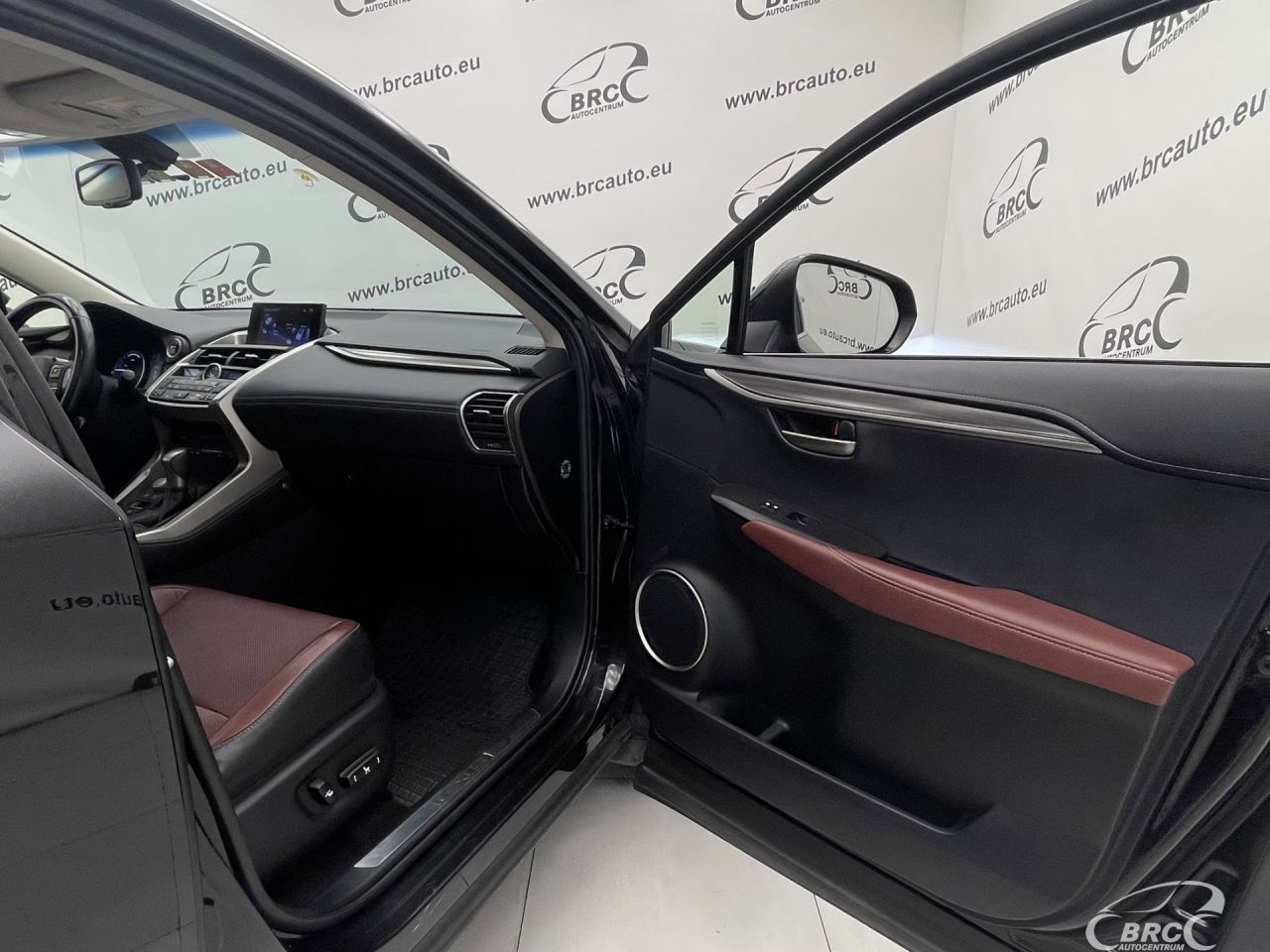 Lexus NX 300h | 7