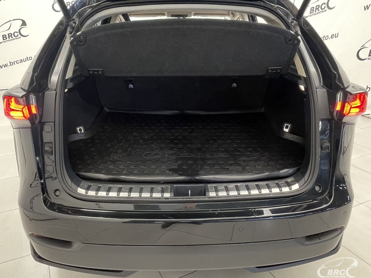 Lexus NX 300h | 48