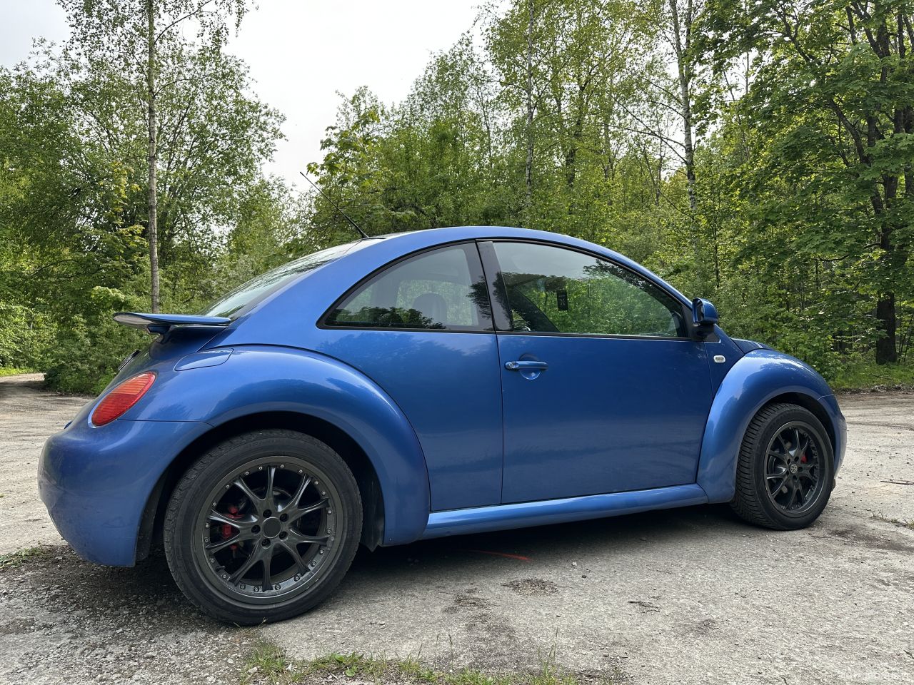 Volkswagen Beetle | 10