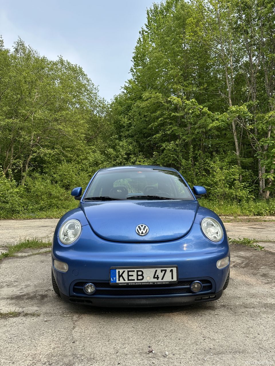Volkswagen Beetle | 2
