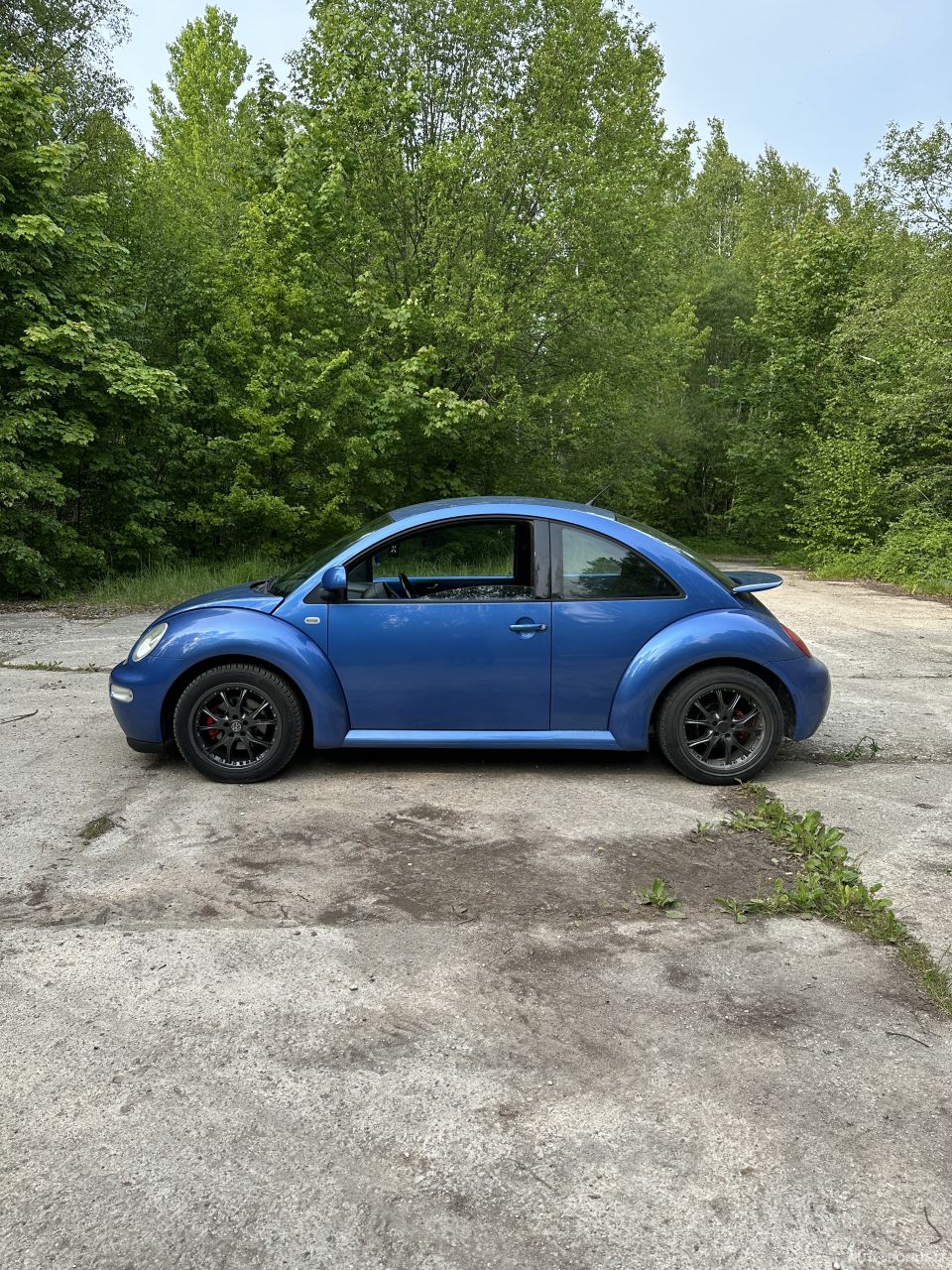 Volkswagen Beetle | 4